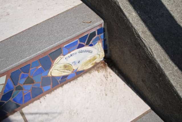 16th Avenue Tiled Step Project
