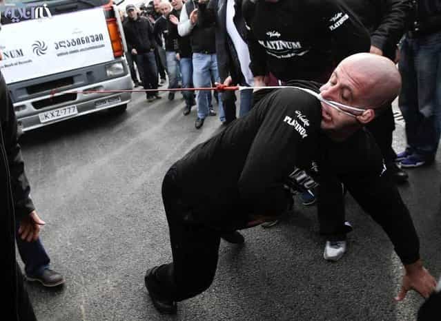 Lasha Pataraia pulls a truck, which weighs 8,250kg (8 tons), with his ear during an event to break the Guinness Book of World Records in Rustavi, outside Tbilisi November 29, 2012. The 32-year-old broke a Guinness record after he managed to pull the truck with his ear for 21,50 metres (70.5 feet), according to organisers. REUTERS/Irakli Gedenidze (GEORGIA - Tags: SOCIETY TPX IMAGES OF THE DAY)