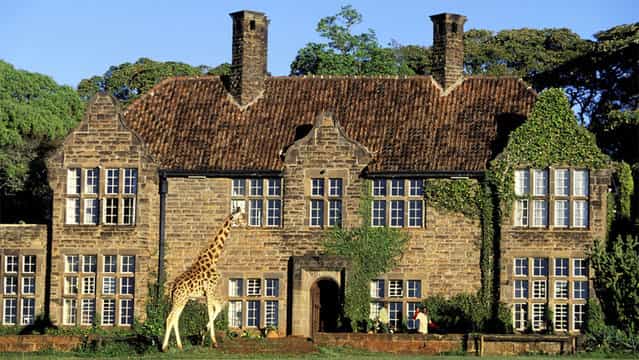 The World S Only Giraffe Hotel In Kenya