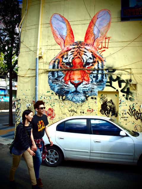 [Walk on the Wild Side]. Tiger Rabbit by Giai Streetart. Hongdae, Seoul, South Korea, September 2010. (Photo by Rob Allen)