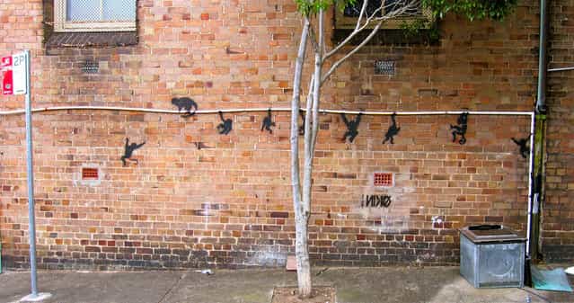 GRAFFITI SURRY HILLS. Sydney, Australia, 2012. (Photo by baddogwhiskas)