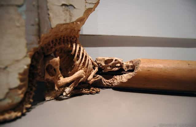 Skeletal Creatures Carved From Everyday Objects By Maskull Lasserre