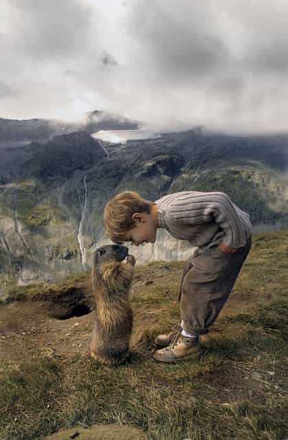 Austrian Boy And Marmots