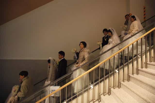 Newlyweds descend the escalator during a mass wedding ceremony of the Unification Church at Cheongshim Peace World Centre in Gapyeong, about 60 km (37 miles) northeast of Seoul February 17, 2013. The Unification Church founded by evangelist reverend Moon Sun-myung in Seoul in 1954, performed its first mass wedding in 1961 with 33 couples. Approximately 3,500 couples attended the mass wedding on Sunday. (Photo by Kim Hong-Ji/Reuters)