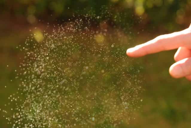 Amazing Photography Of A Bubble Bursting 