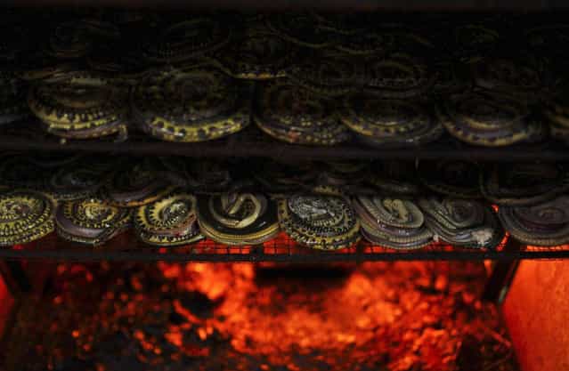 How Snakeskin Handbags Are Made 