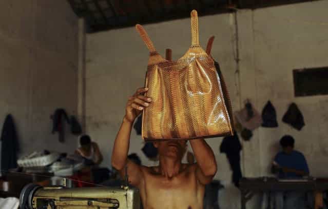 How Snakeskin Handbags Are Made 