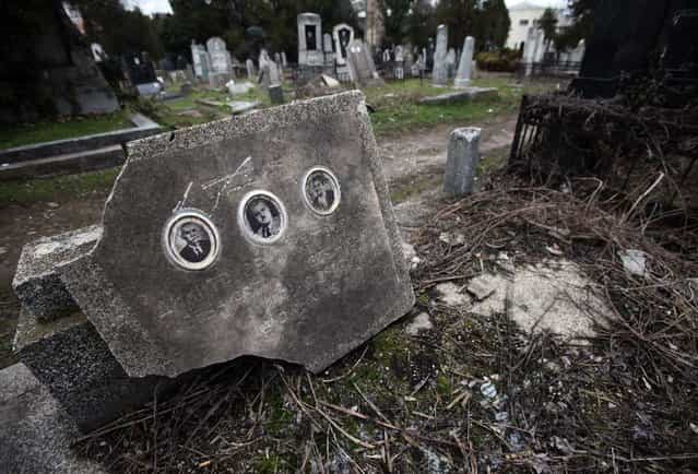 Bratislav Stojanovic : Guys Lives In Cemetery In Serbia 