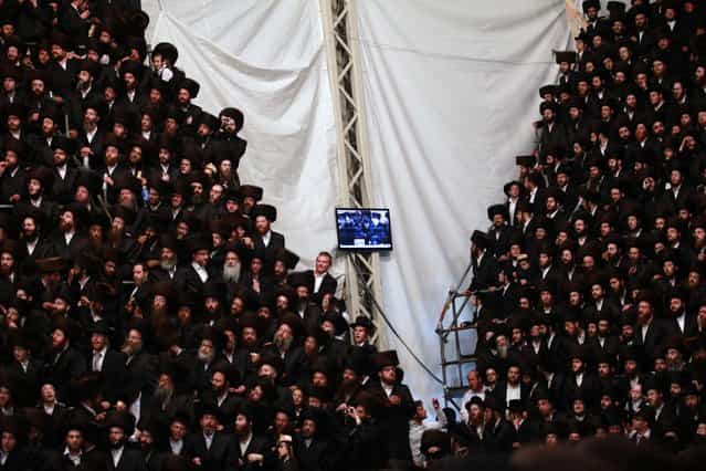 Ultra-orthodox Jewish wedding in Israel. Tens of thousands of Ultra-Orthodox Jews of the Belz Hasidic dynasty gather at the wedding ceremony of Rabbi Shalom Rokach in Kiryat Belz, in Jerusalem, on May 22, 2013. Around 25,000 ultra-orthodox Jews took part, making it one of the biggest weddings of the past few years. (Photo by Gil Cohen)