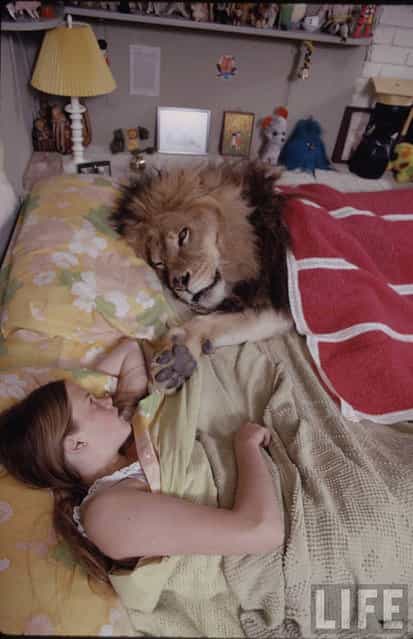 Melanie Griffith Grew Up With Lions