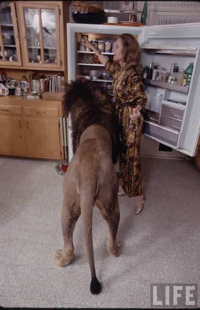 Melanie Griffith Grew Up With Lions