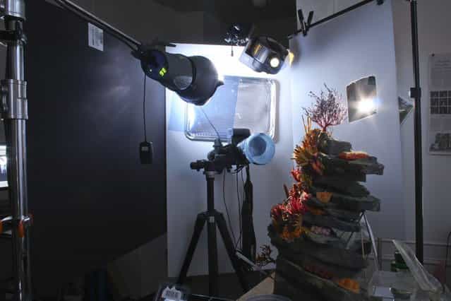 The setup of cameras and video projectors that are used to create the underwater glow for [How to Breathe Underwater]. (Photo by Matthew Albanese/Barcroft Media)