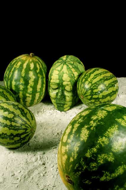 [Melon]. (Photo by Johannes Stötter)