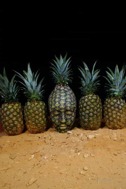 [Pineapple]. (Photo by Johannes Stötter)