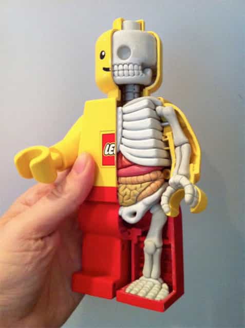 Lego Anatomy by Jason Freeny