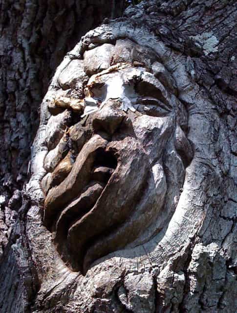 Tree Spirit Carvings by Keith Jennings