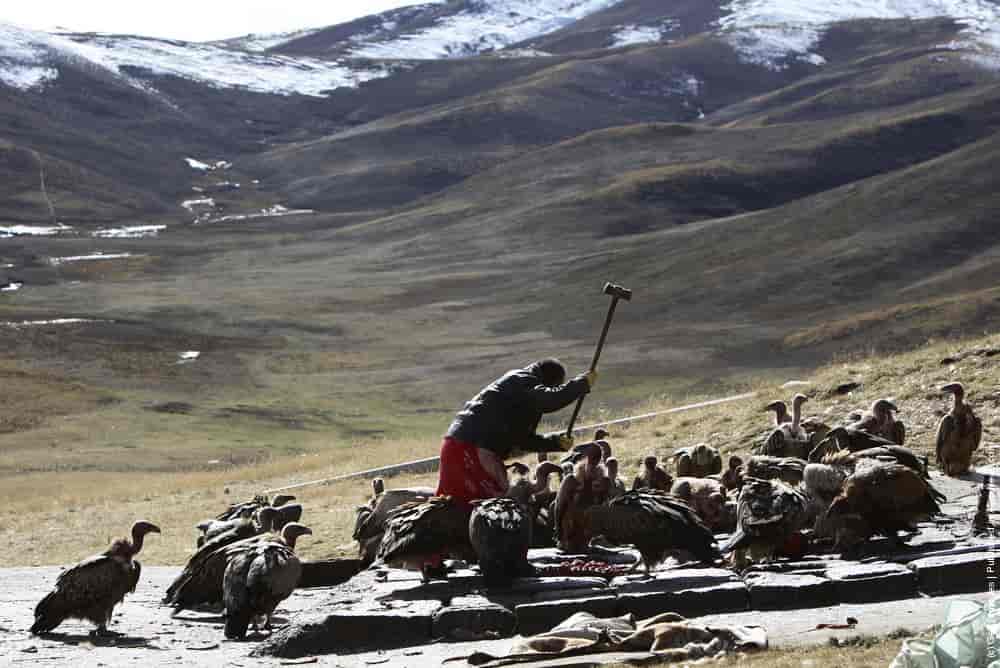 Tibetans Perform Celestial Burial Ceremony » GagDaily News